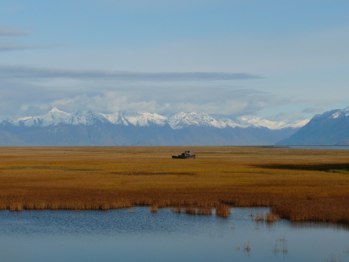 View off Knik-Goosebay Road, looking toward the Alaskan Range