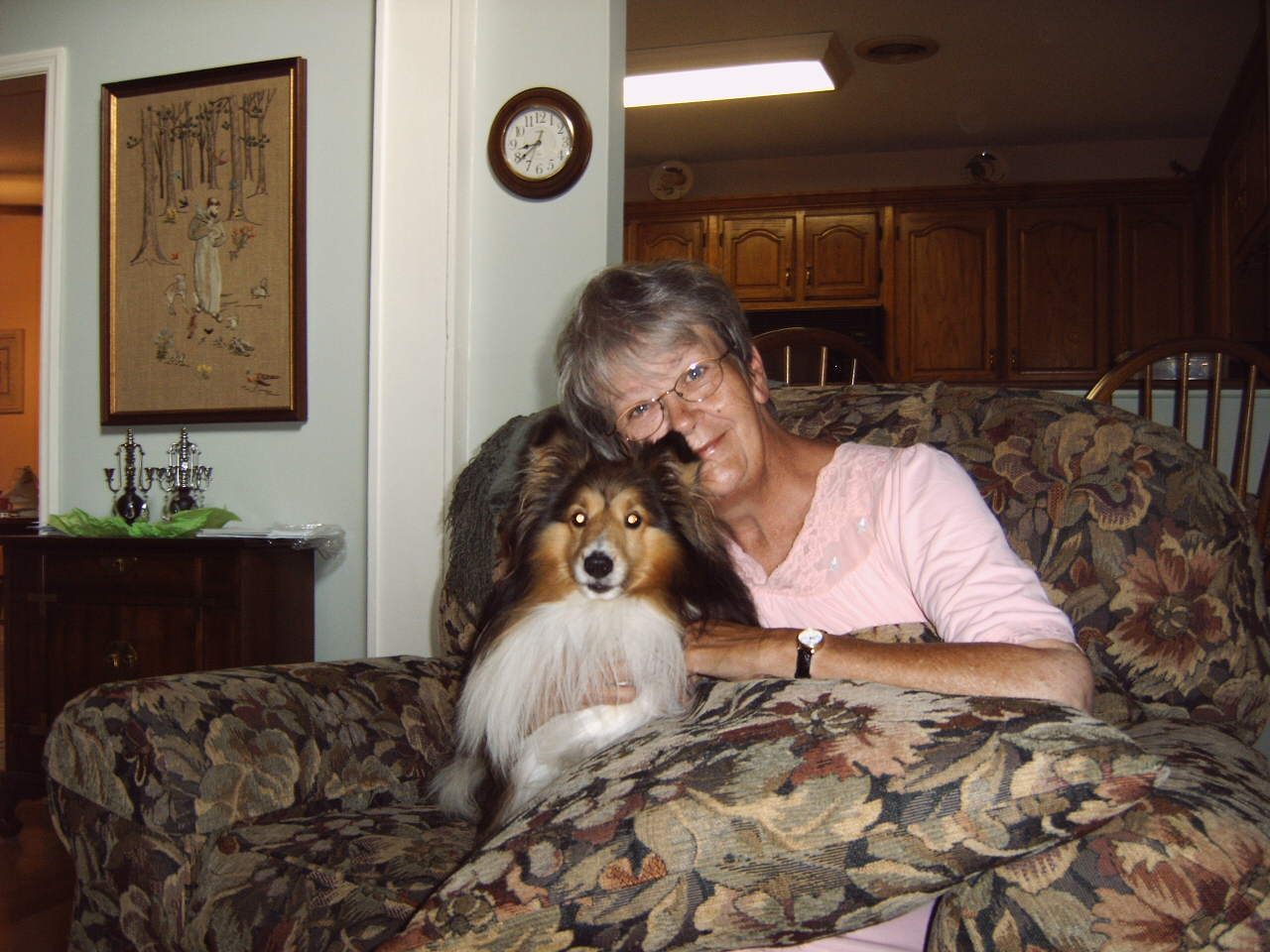 Jamie is a Champion Agility Sheltie. He was visiting from IL.