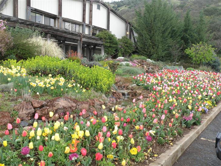 flows through this tulip bed.  The landscaping is beautiful.