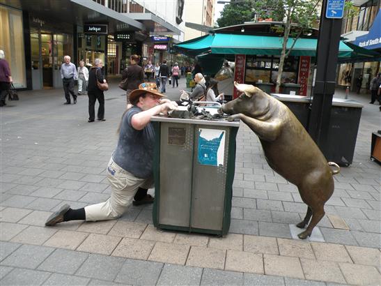 sort through the garbage at the Rundle Mall.