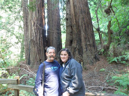 We had a lovely walk around Muir Woods, a Redwood Grove just a bit north of the Golden Gate Bridge.