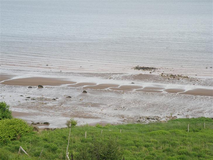 view out our window overlooking the Bay of Fundy.