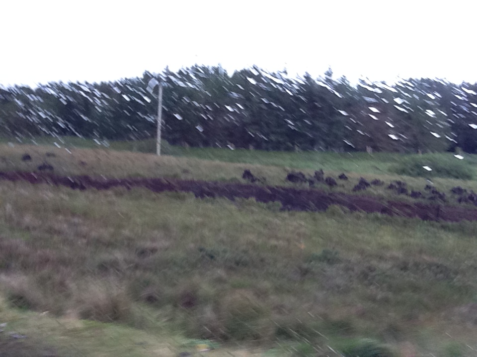 Peat has been dug and piled to dry. It is still used, but not widely. It burns clean and leaves a fine powdery ash.