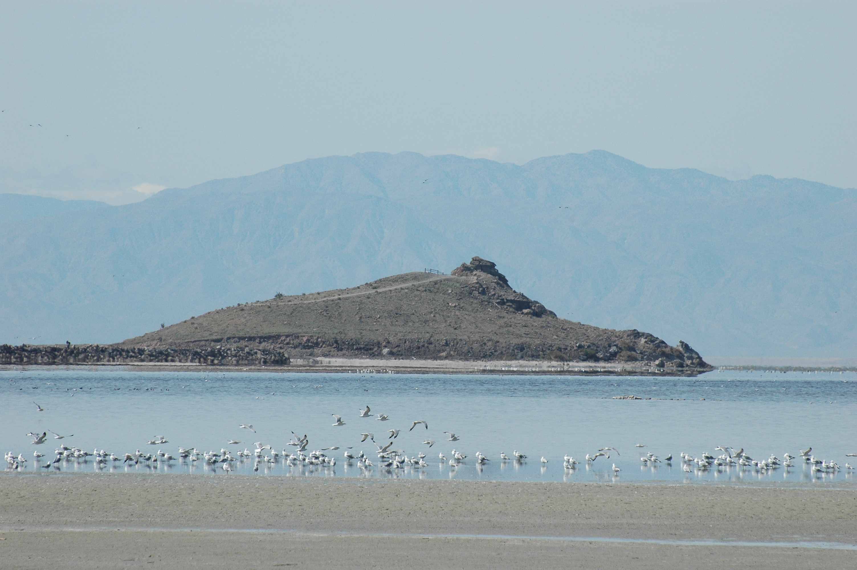 An old volcanic cone on the edge of the sea