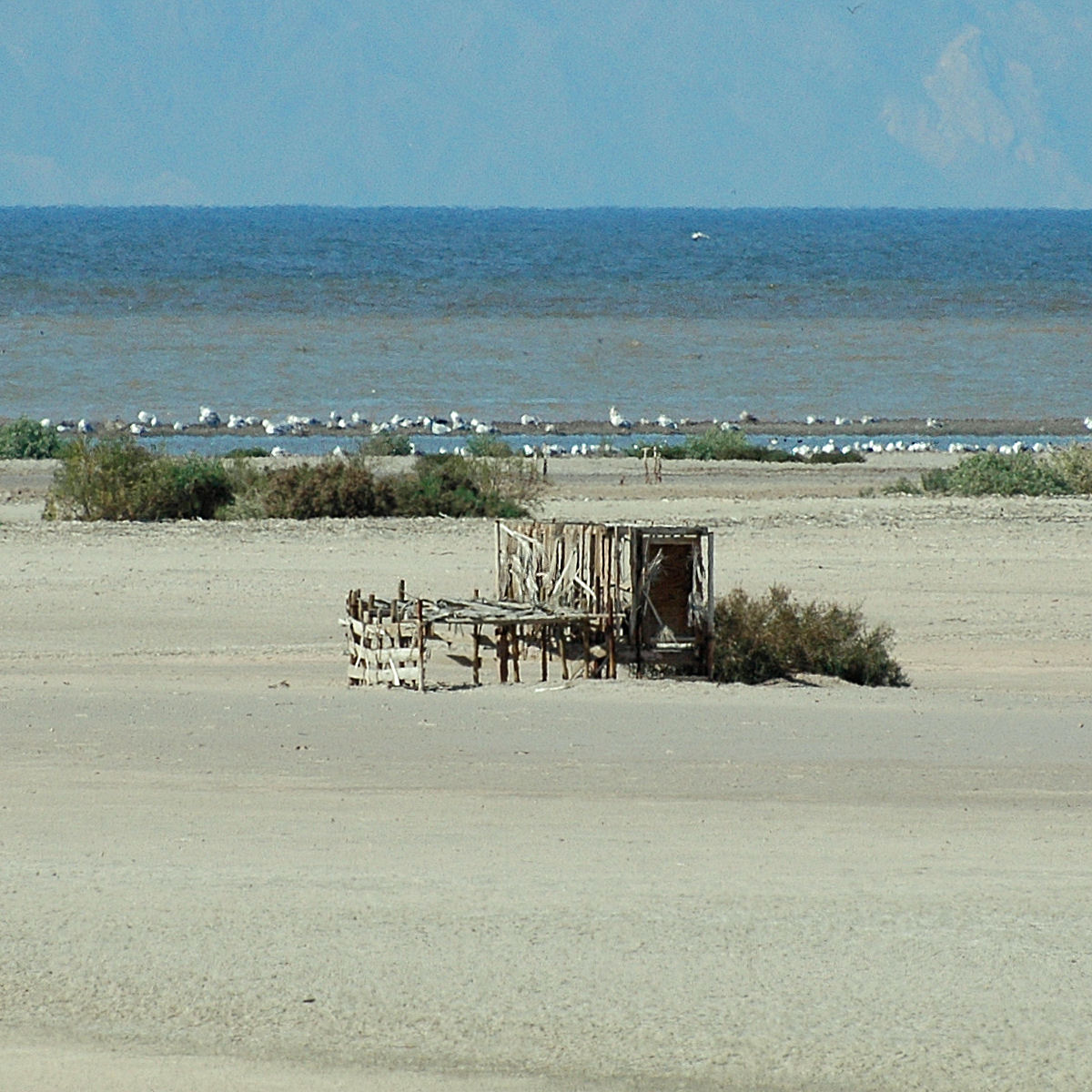 An old blind left high and dry by the retreating sea