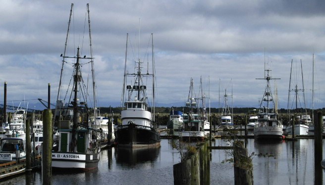 Working boats at rest.