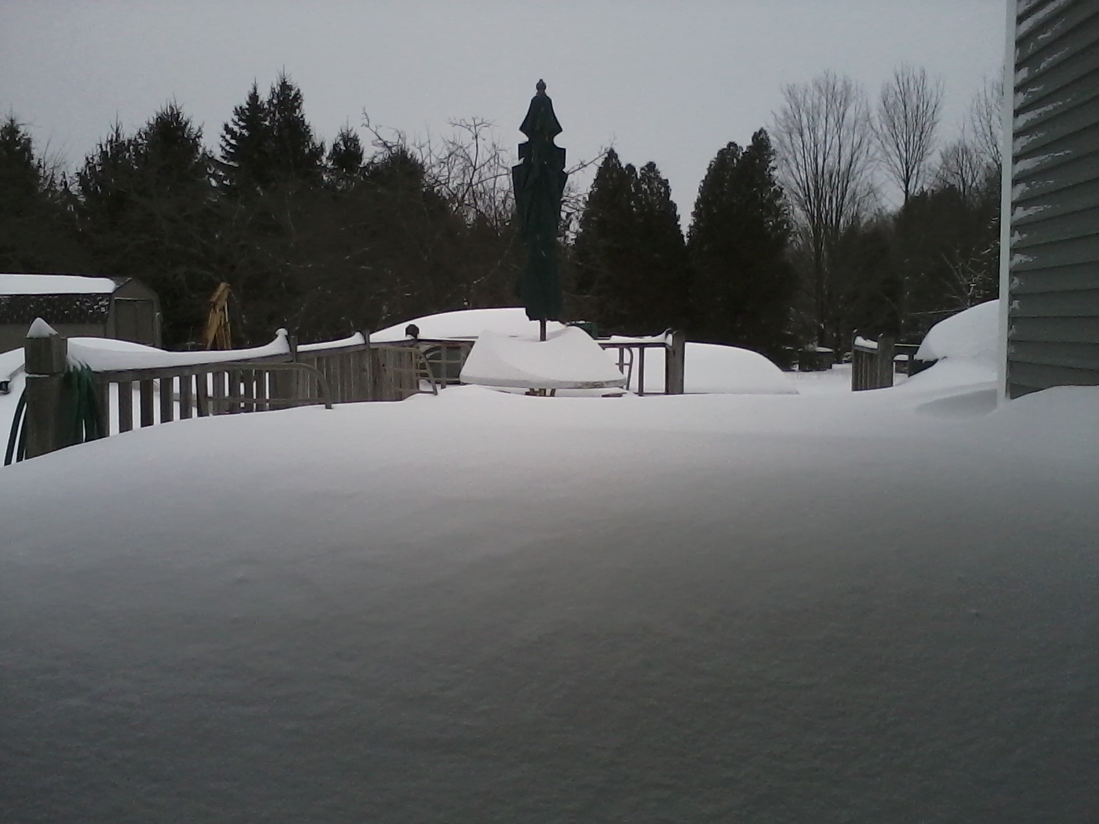 This is the view from my kitchen door. 32 inches of snow of the deck.