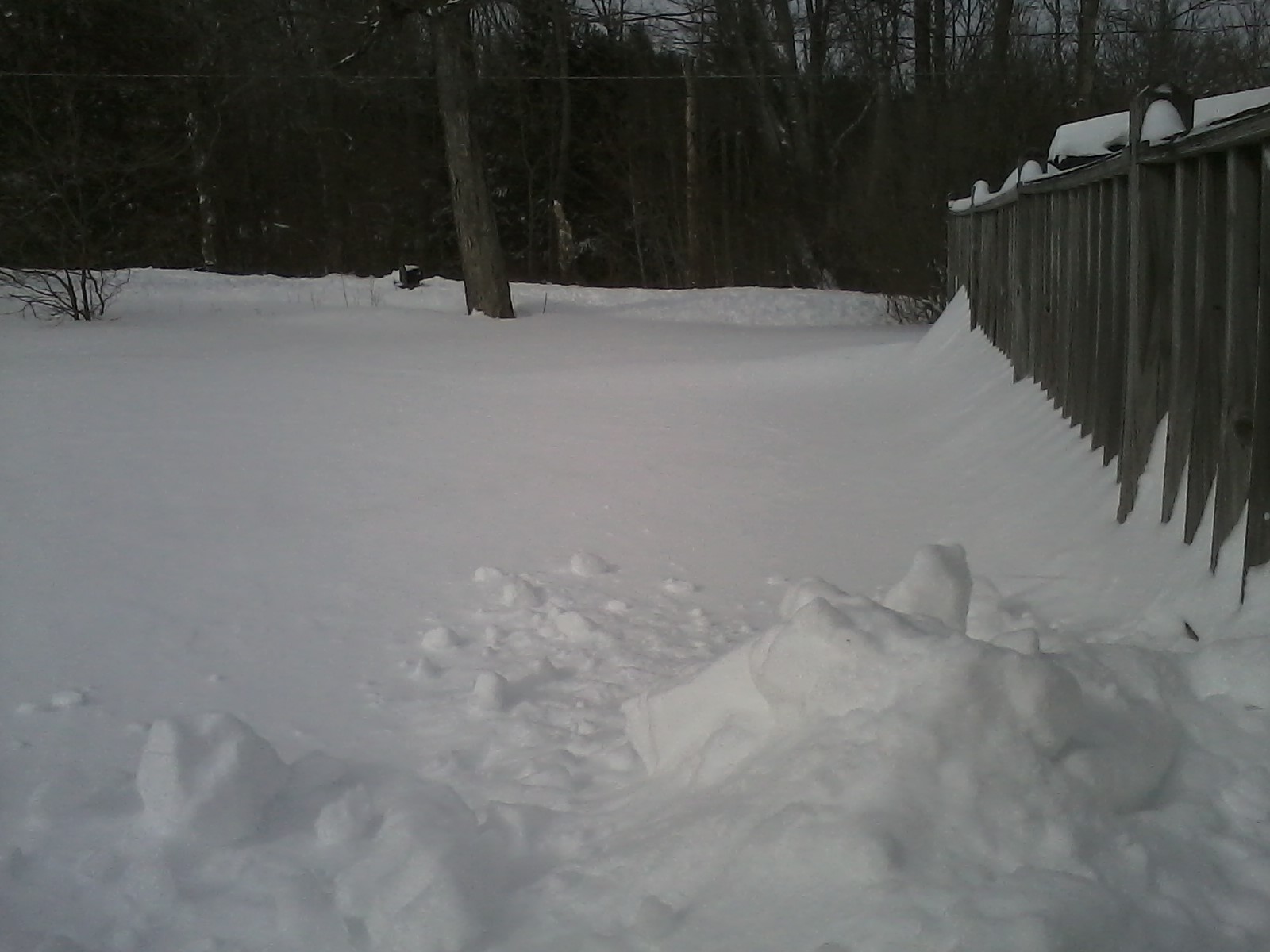 driveway before the town plow went by and pushed more snow into the end.