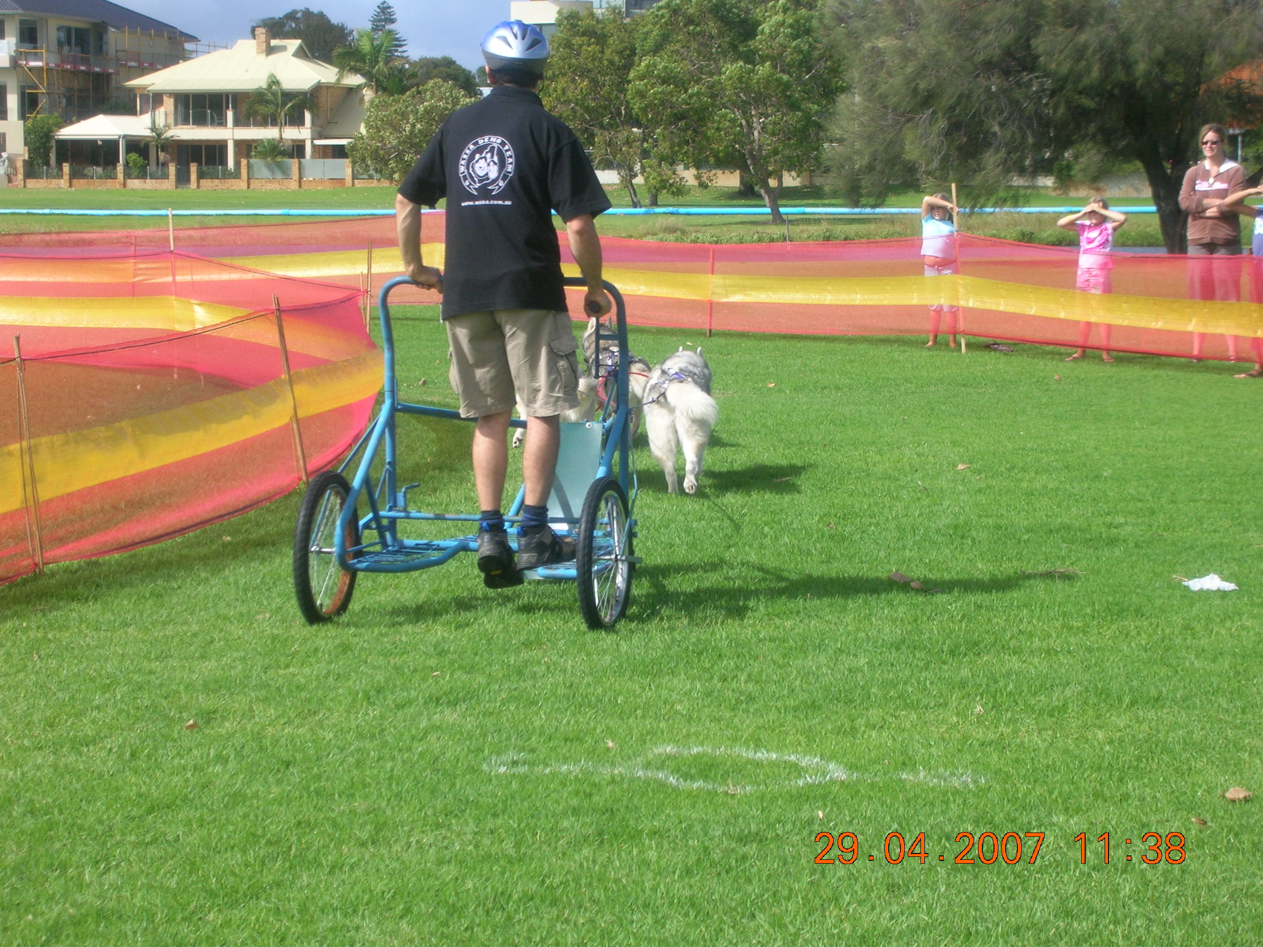 A rig is used for more than 2 dogs to pull. 