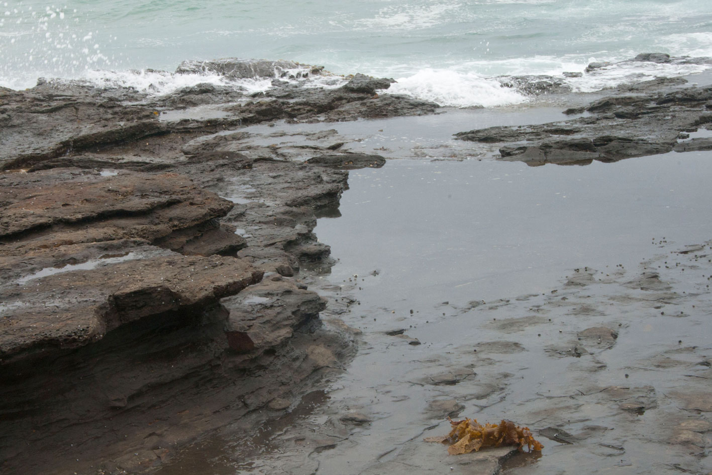 Part of the seaside rock shelf formed when Australia was part of Gondwanaland.