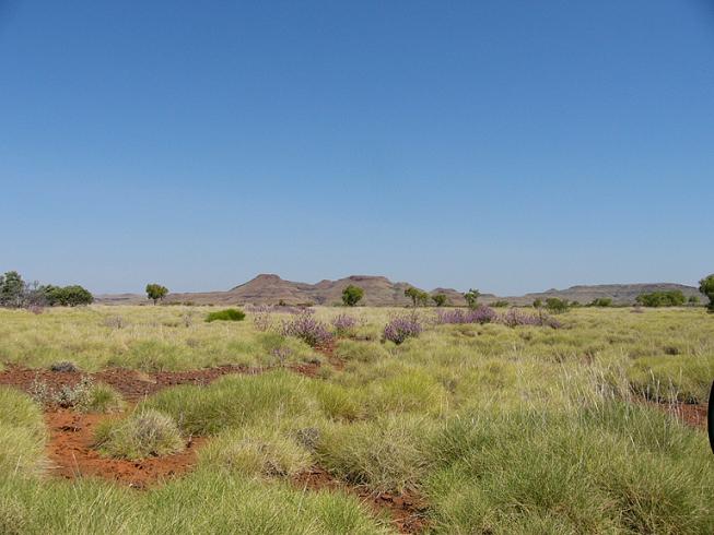 The beautiful scenic ranges near Wickham