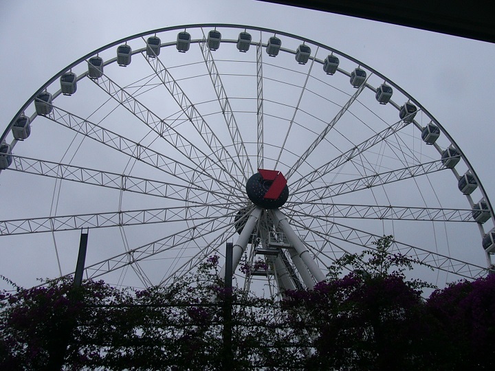 The Brisbane Wheel which Cynthia, Colin and I had a ride in. The weather was a bit wet and overcast.