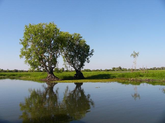 Reflections on the Alligator River (which was originally misnamed)