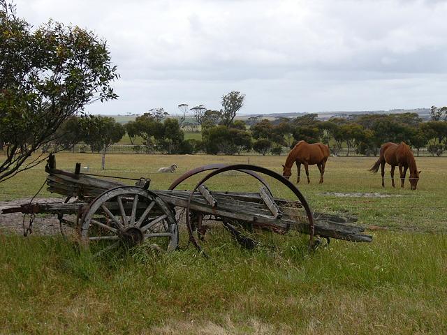 At "The Lily" restaurant at the foot of the Stirling Ranges. 
The day may have been wet and overcast but the scenery, what we could see of it, was still lovely!