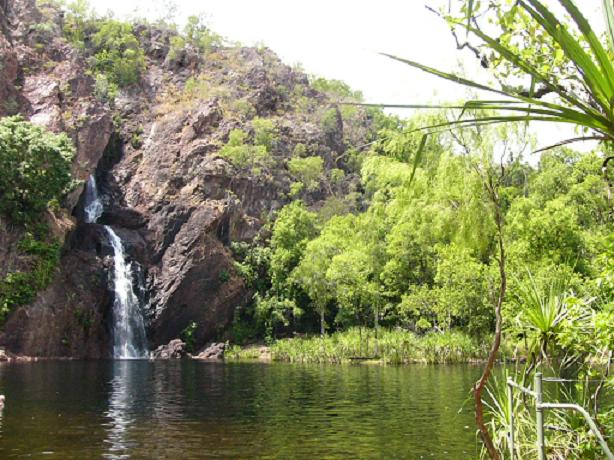 Wangi Falls near Darwin, N.T. where we went swimming. Thankfully there were no crocodiles in this water hole at the time. Also there is very little water over the falls because it's towards the end of the dry season. 