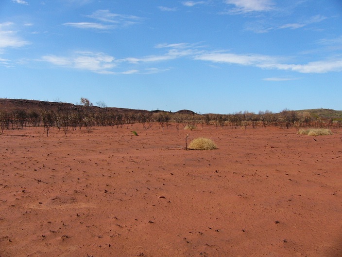 We came across some large areas of burnt out bush while driving through the bush tracks