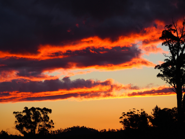 The sky was on fire. Rain forecast, but just threatening.