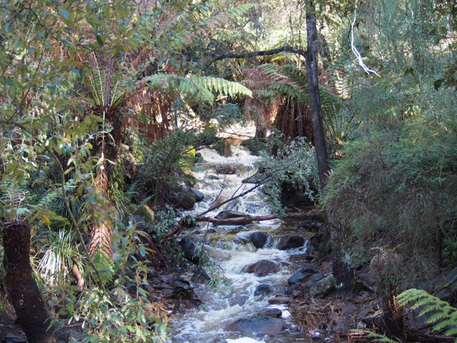 A small stream that flows through the beautiful gardens in The Gorge grounds