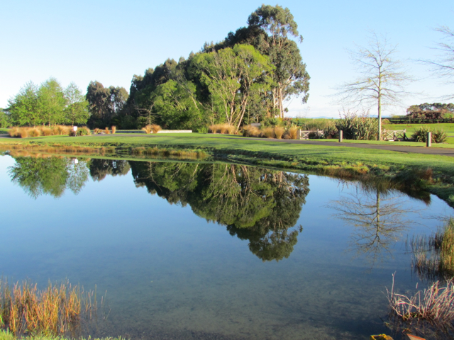 Reflections at our accommodation.