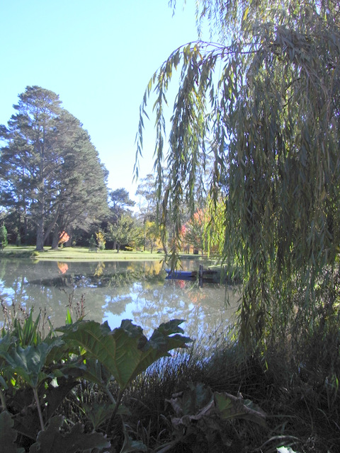 A large lake was a big feature of this garden