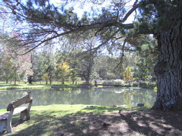 The lake was surrounded by a walkway