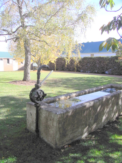 An old-fashioned horse trough with pump. The property used to raise
stock horses