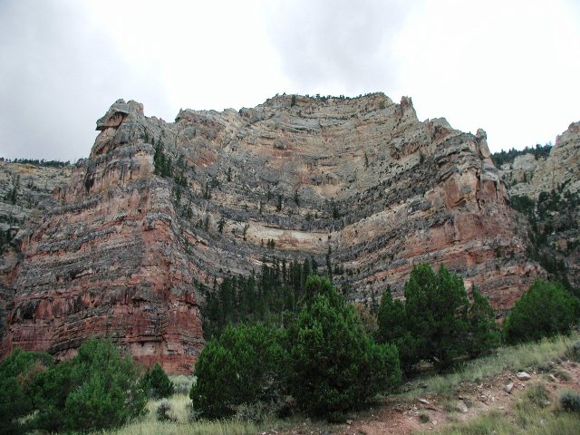 This shows some of the canyon walls as you start to descend into Jones Hole Canyon.  There is an excellent fishing stream at the bottom of the canyon that straddles the Utah/Colorado border.  It probably helps to have a trout hatchery at the spring source of the creek.