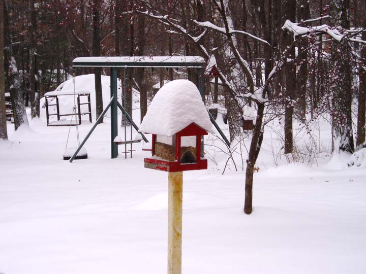 December 19, 2008 Snowfall.  We received 1 foot of snow.