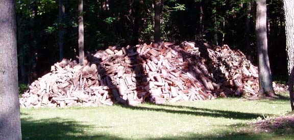 More wood to be put into racks as they are emptied this winter.