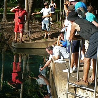 Our brave coach driver wanted to hand-feed the Barramundi, we wondered what else was lurking down there - crocodiles?