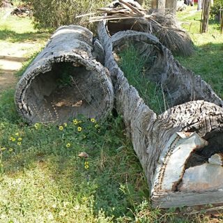 Ancient wooden horse troughs