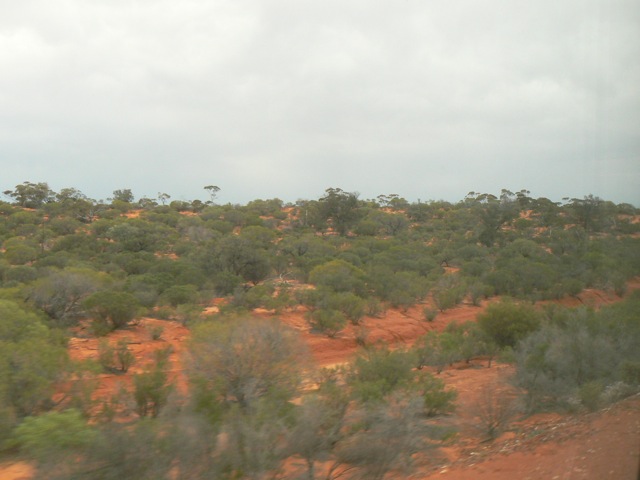 Somewhere between Adelaide and Perth.