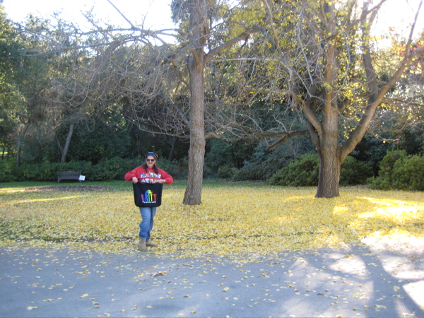 I kid you not, the ground was covered thickly with yellow gingko leaves.