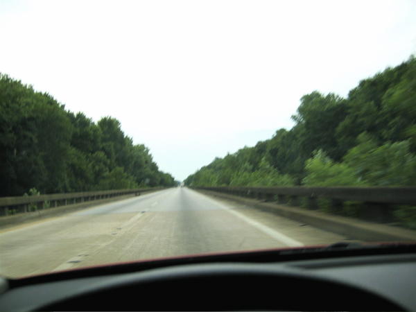 Golly all the way from North Carolina to Florida the forest lines the roadside!  A southern Californian like me is amazed at all this greenery!