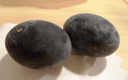 Black Eggs
Cooked in the sulphur vents at Hakone Japan. The eggs do stink before pealed but taste no different than an egg boiled in water. The sulfa turns the egg shells black color.