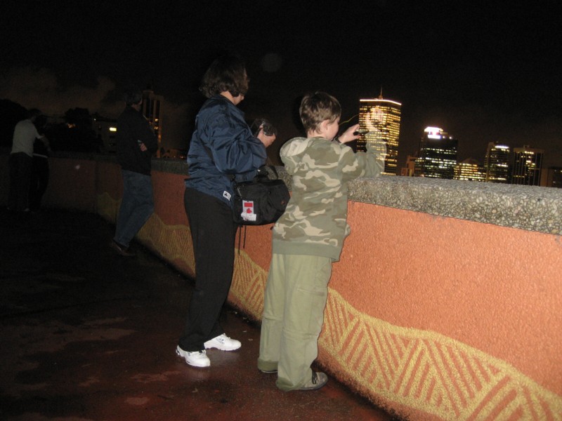 Viewing the City at Night from Kings Park 20 November 2008