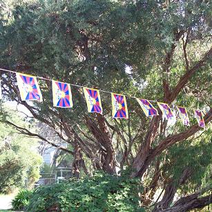 Tibetan national flags