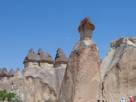 Erosion of the volcanic soil leaves the harder basalt sitting on top. An intriguing landscape.