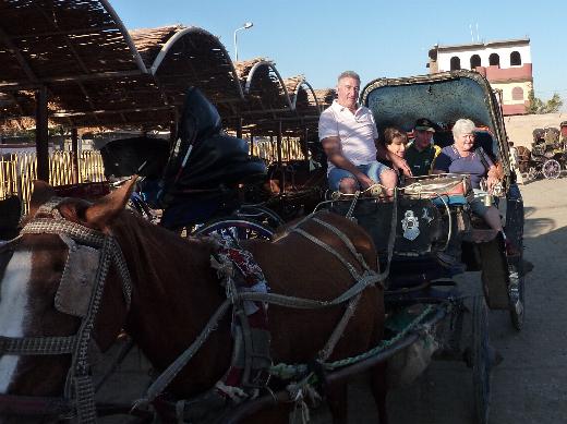 Carraige ride to the Temple of Horus.