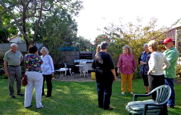 Chatting in my back yard.