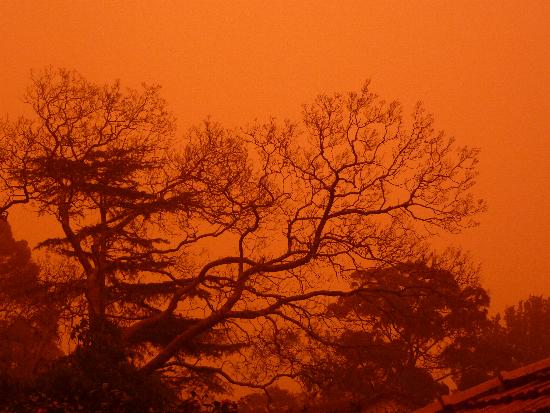 Red dust envelops Sydney.