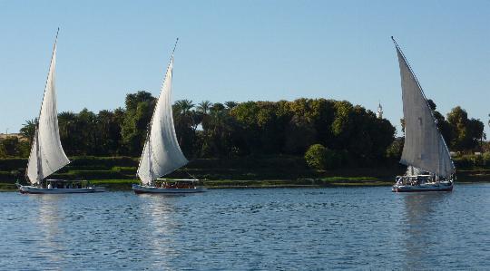 Feluccas sailing on the Nile near Aswan. Yes we did have a sail in one.