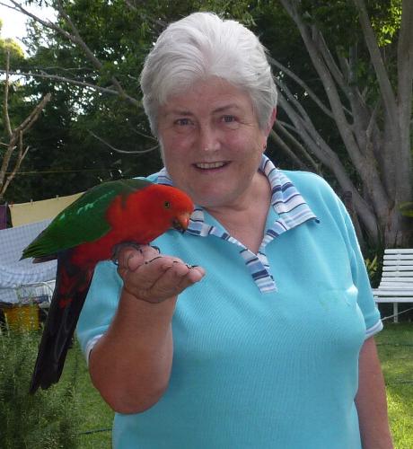 Laura took this photo. This parrot just flew down onto my hand to get the seed.