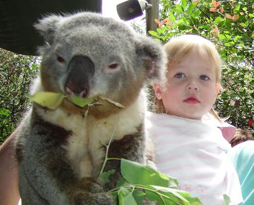 Laura patting the koala at feeding time