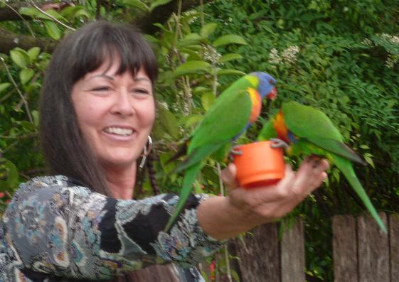 Vici feeding the wild lorikeets