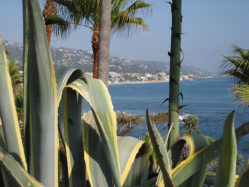 CA/USA Beach-2008