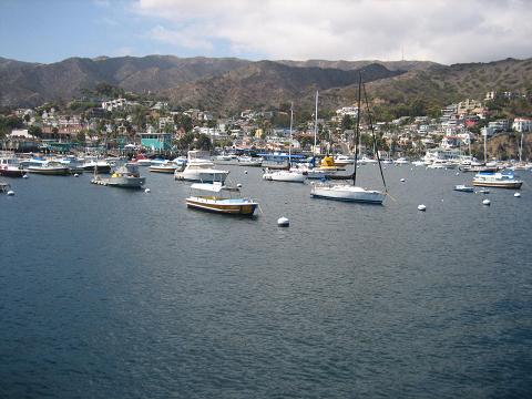 Hundreds of boats in Catalina make this picture so beautiful.