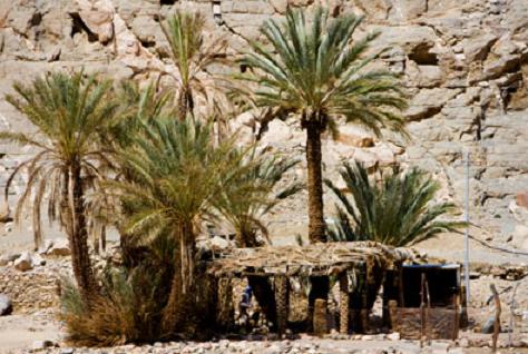 Living area in Sinai Desert Egypt.