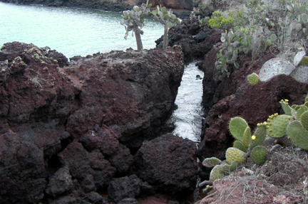 There were some great lava formations on the islands.