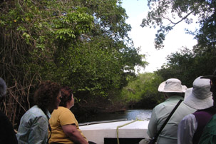 In our boat on the way to Lamanai.
You can see how dense the jungle is.